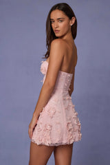 Embellished Bandeau A-line Mini Dress in Soft Pink